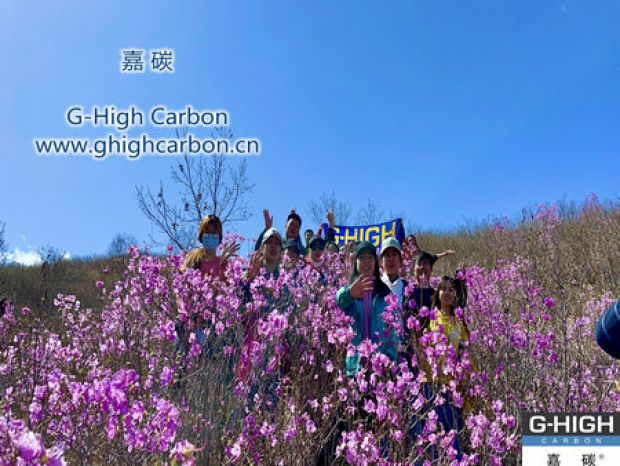 山野映山紅遍，嘉碳不負(fù)春光