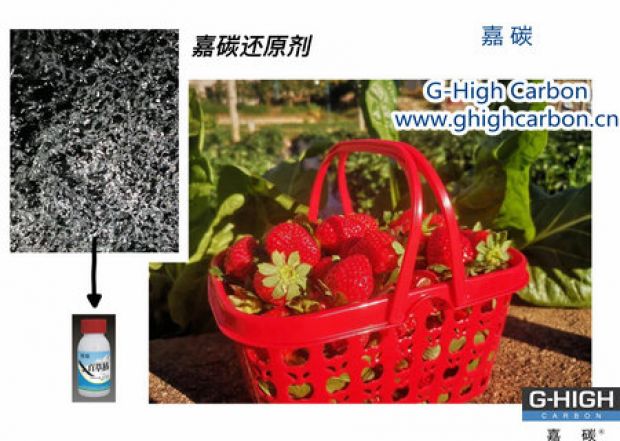 嘉碳還原劑守護(hù)“莓”好，甜蜜上線