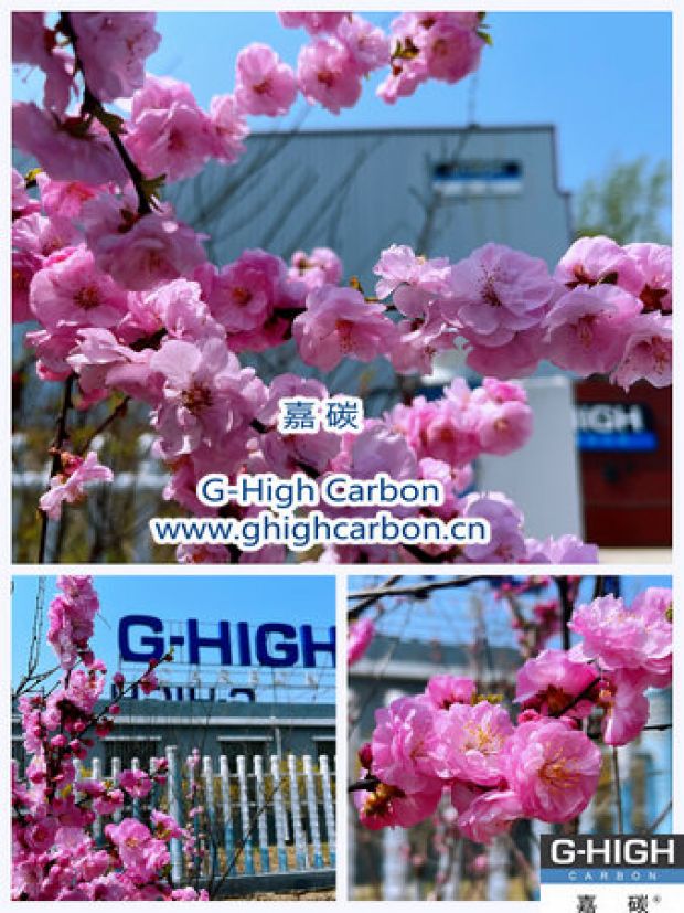 環(huán)保嘉碳，春花爛漫