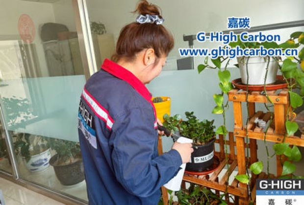 午休時(shí)光種花忙，美化辦公環(huán)境添綠意